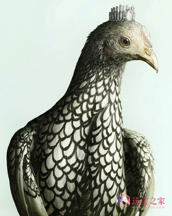 Peter Lippmannëϵ錚AƬ