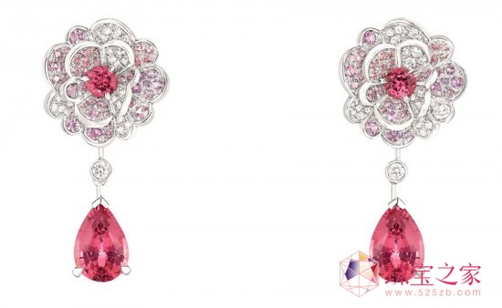 CHANELȫJARDIN DE CAMELIAS߼(j)錚ϵ Aɽ軨