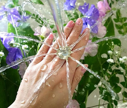 錚OӋoޣˮָFountain Ring