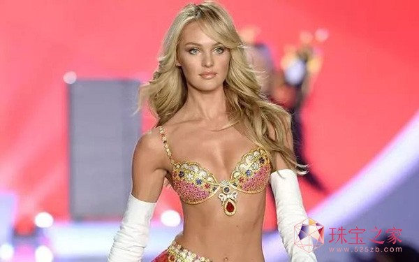ϺҊ Victoria's Secret Fashion Show r(sh)нġW˹